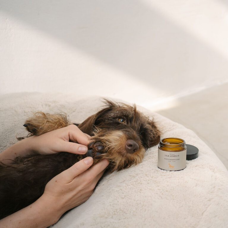 Paw Care в употреба